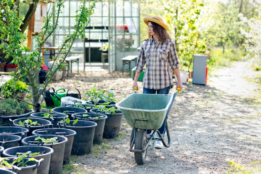 Mature woman walking and pushing a wheelbarrow through a community garden